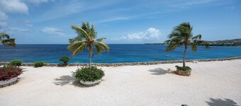 Breathtaking view of the Caribbean Ocean w/ sea, snorkling & diving mere ft away