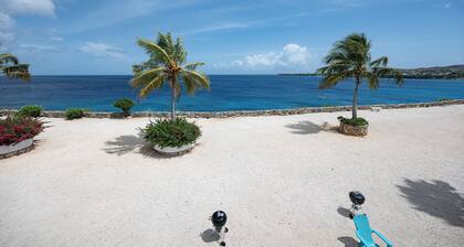 Breathtaking view of the Caribbean Ocean w/ sea, snorkling & diving mere ft away