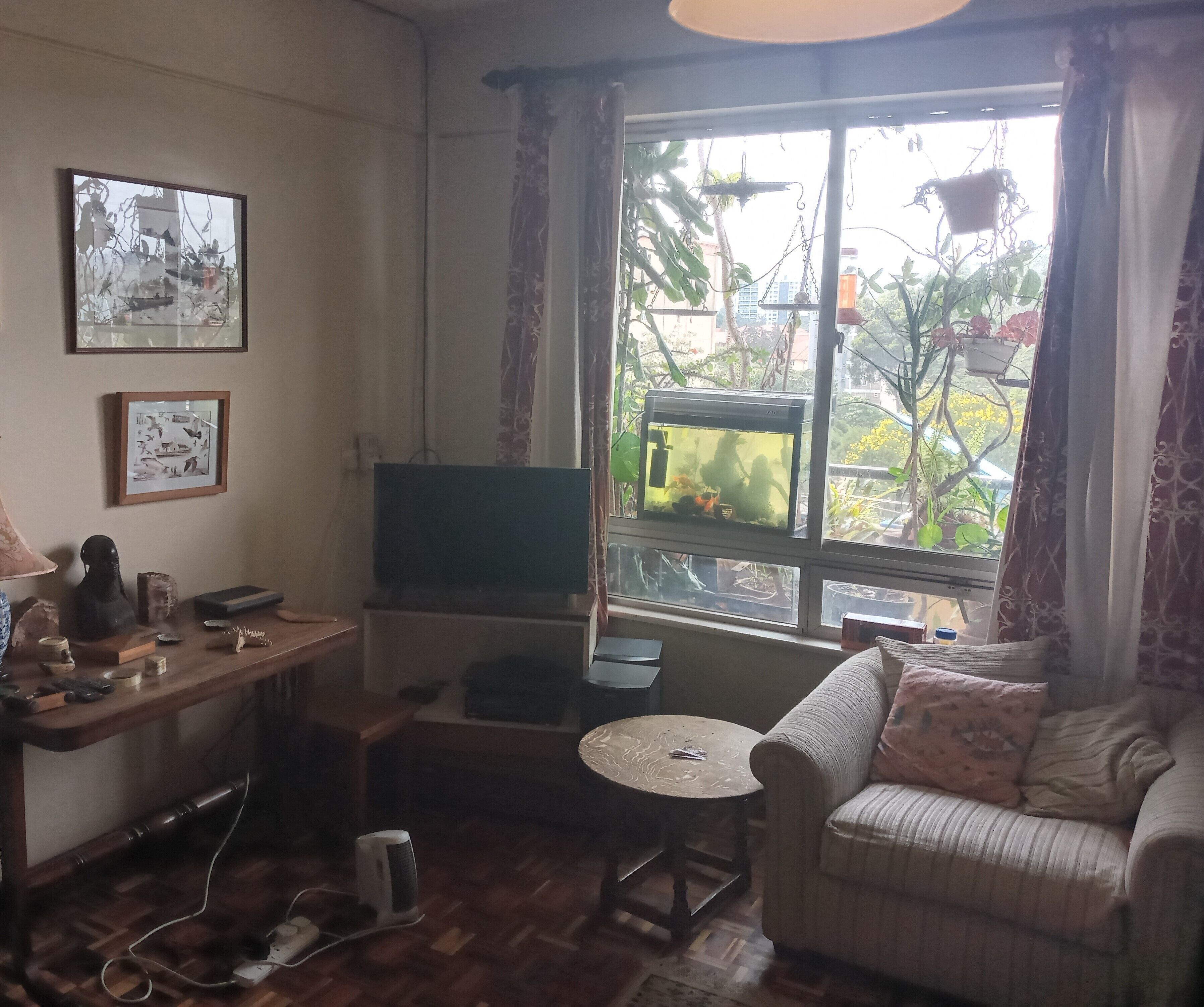 TV connectée, lecteur de DVD, livres, imprimantes