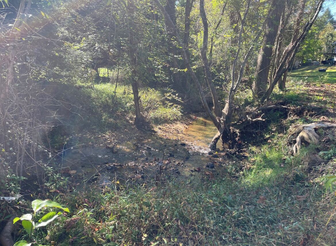Um cenário natural ao ar livre com um riacho, árvores e uma área gramada.