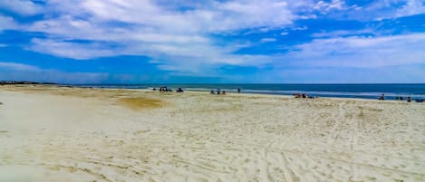 ビーチ シャトルサービス (無料)