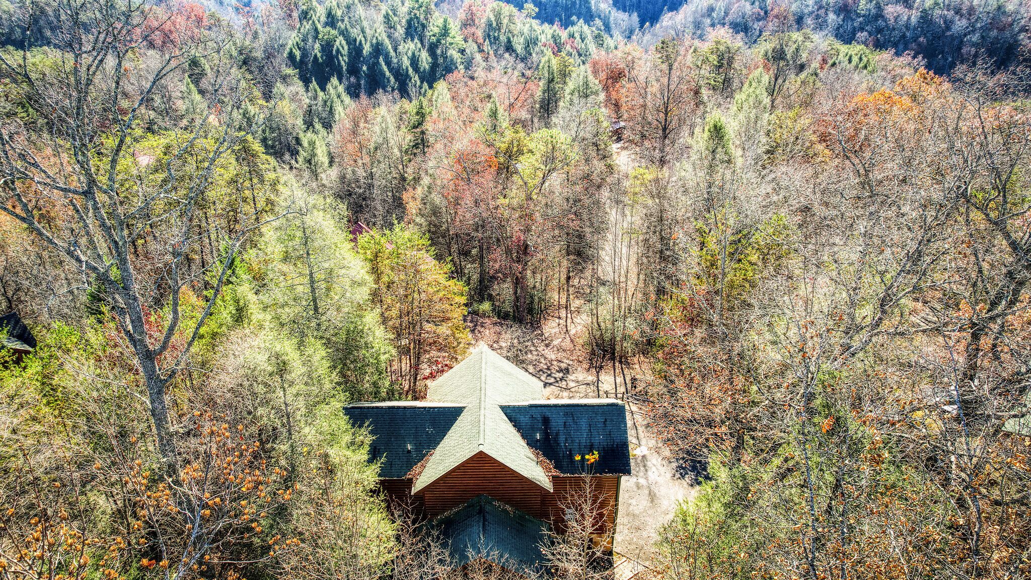 Een chalet met een steil dak, omgeven door dicht bos.