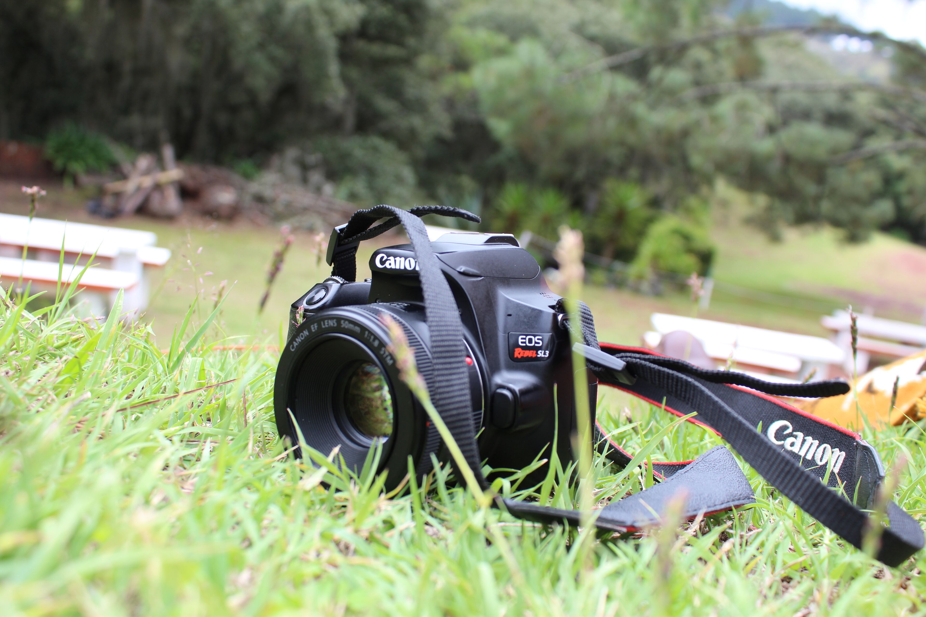 Un appareil photo Canon EOS avec un objectif, posé sur l’herbe.