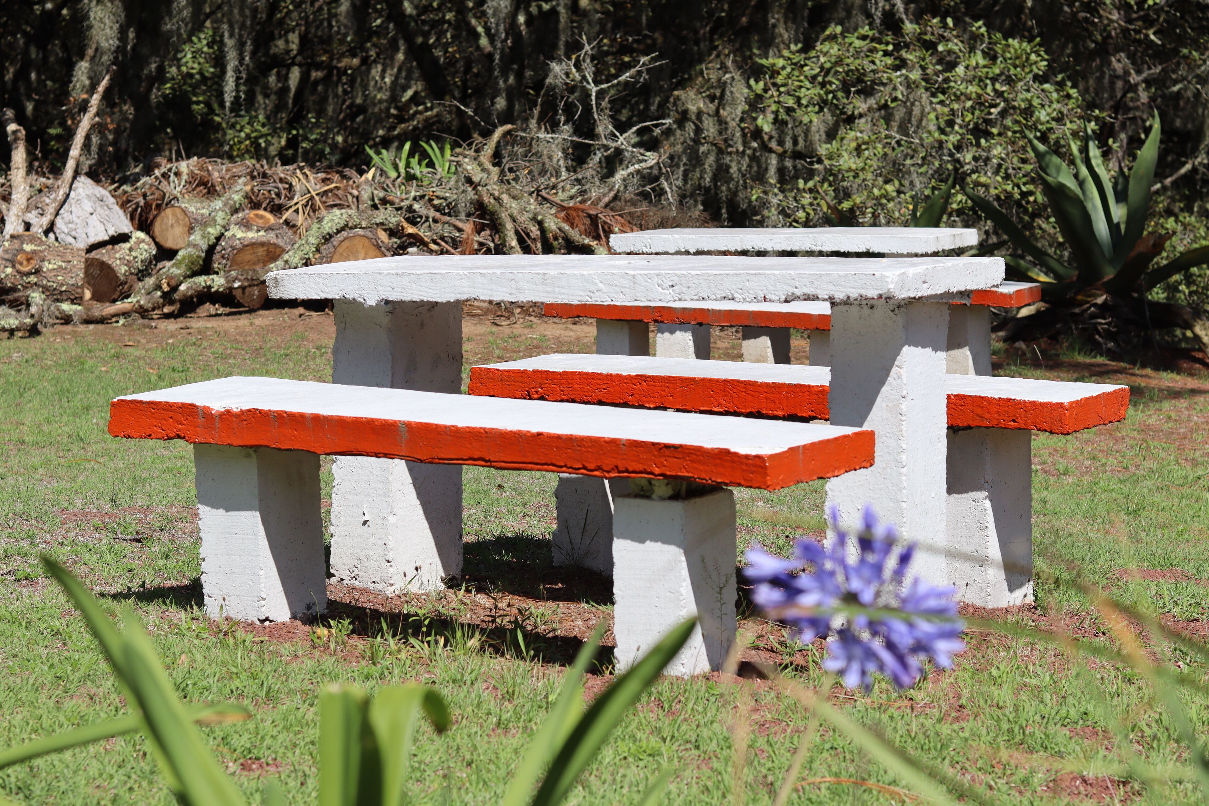 Área de parrilladas y picnic