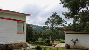 Un edificio blanco con techo rojo y un pequeño jardín con plantas variadas y un sendero.