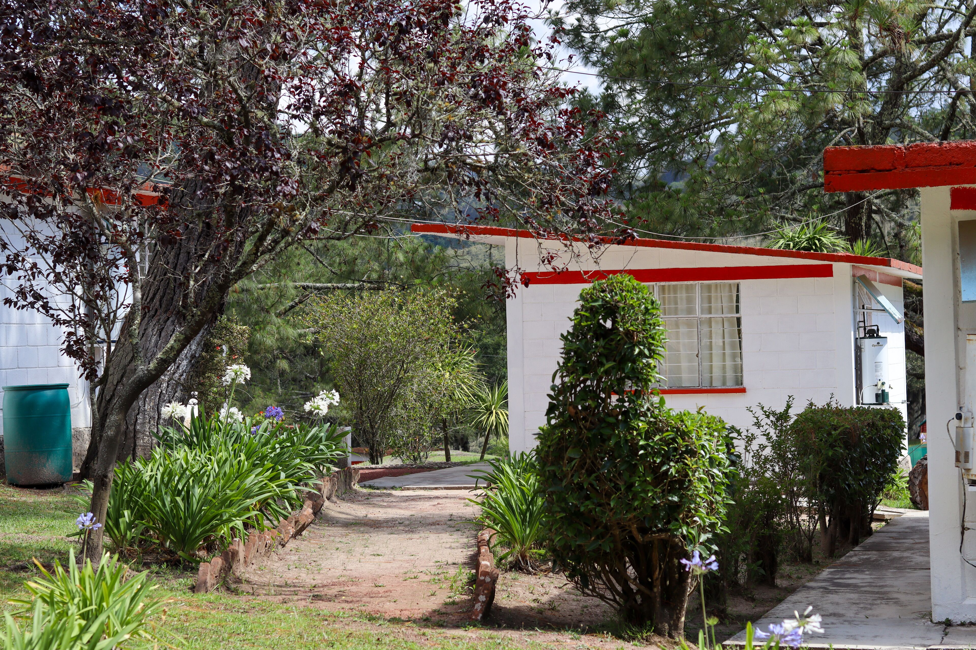 Bungalows Villa Limon