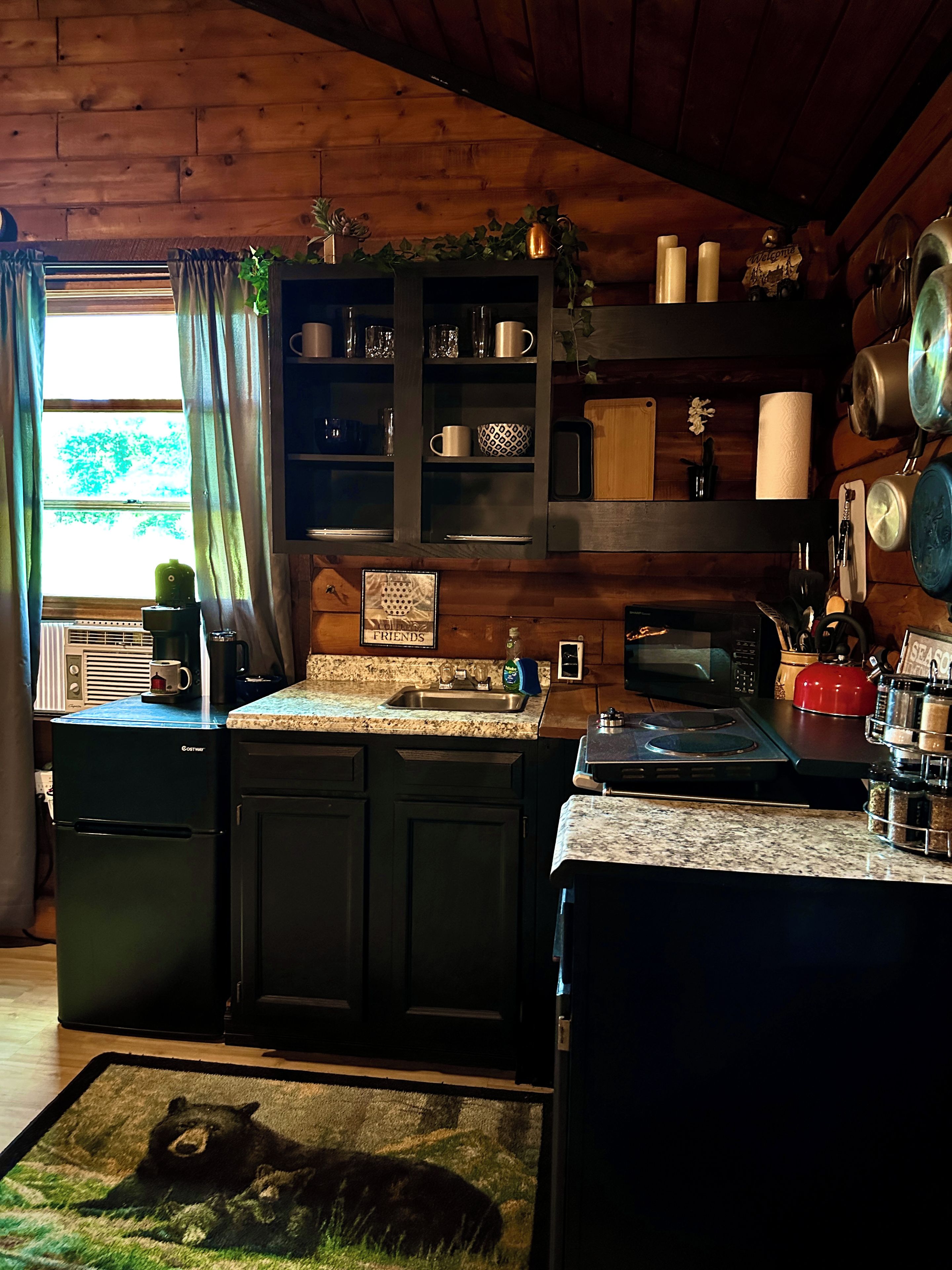 A kitchen with wooden cabinets, a countertop with various items, and a bear rug on the floor.