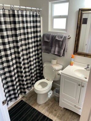 Combined shower/tub, hair dryer, towels, soap