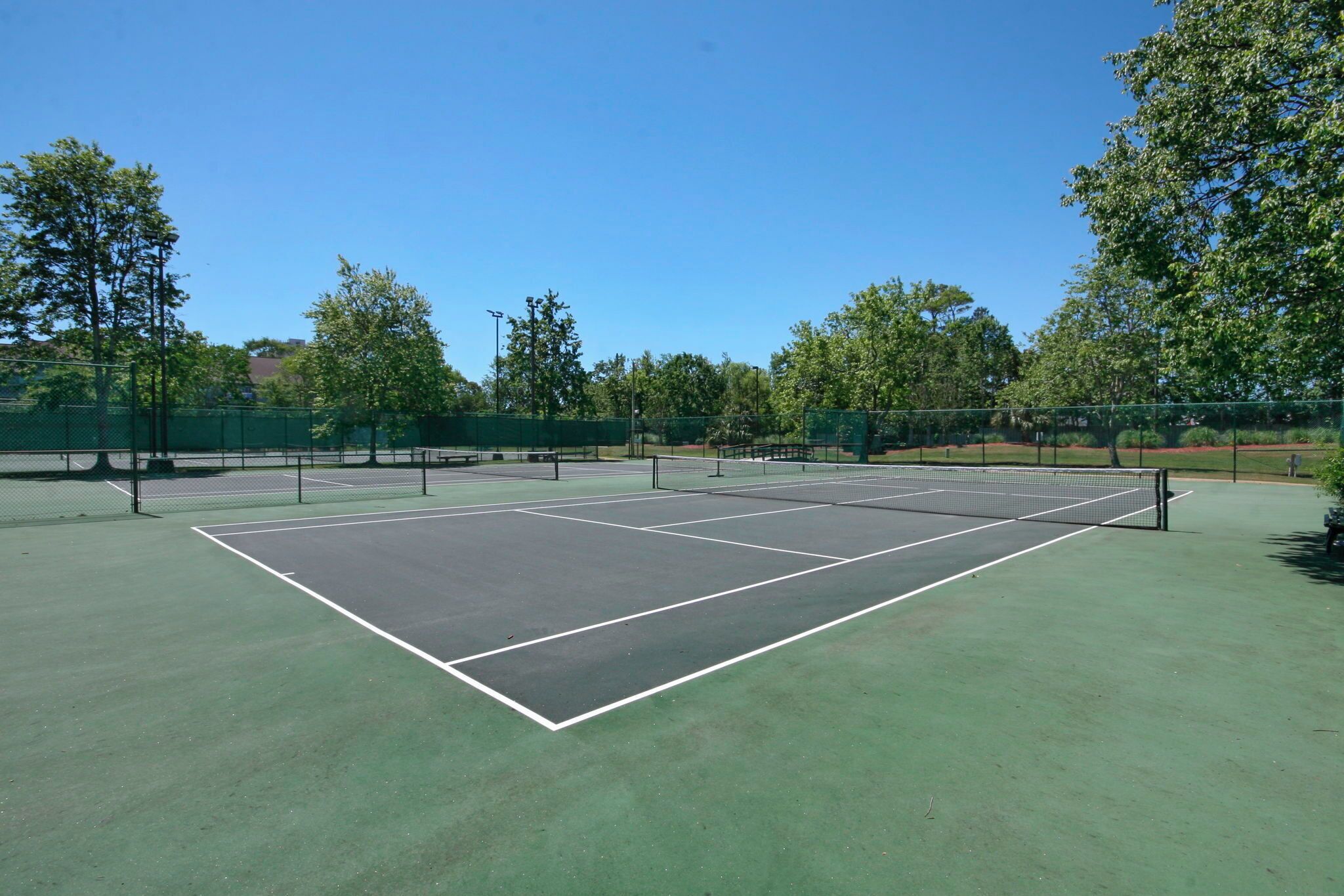 Ein Tennisplatz mit Netz, umgeben von einem grünen Zaun und Bäumen.