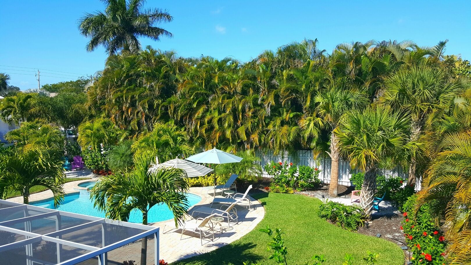 A pool area with lounge chairs and umbrellas, surrounded by palm trees and a well-maintained lawn.