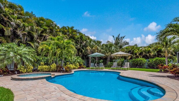 Una piscina paisatgística amb disseny corbat, envoltada d'un pati pavimentat i vegetació tropical exuberanta.