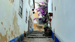 Una estrecha calle adoquinada bordeada por edificios con paredes blancas y azules desconchadas, tejados de tejas y macetas colgantes de flores.