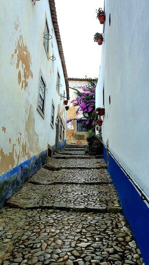 Terrain de l’hébergement 