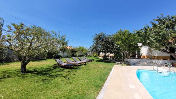 A backyard with a swimming pool, sun loungers, and a tree.