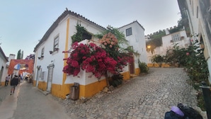 Una calle adoquinada con edificios pintados de blanco y amarillo, algunos adornados con flores.