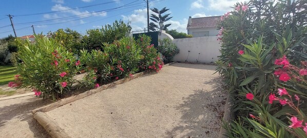 A gravel driveway leading to a house with a white wall and a green gate.