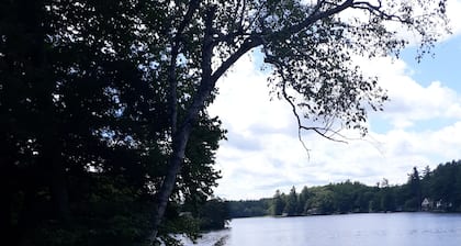 Waterfront cottage on large, wooded lot with amazing swimming and fishing