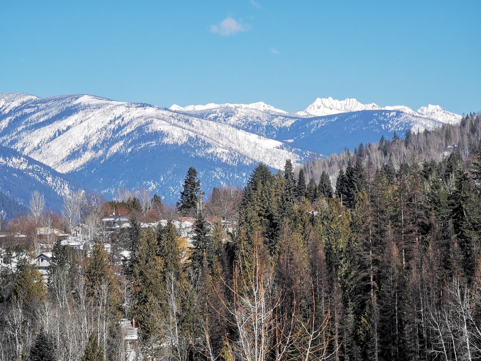 The Nelson Penthouse