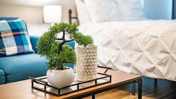 Una habitación ordenada con una cama, un sofá azul, una mesita con un bonsái y un jarrón blanco decorativo.
