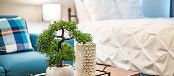 Cozy Studio in Carmichael w/Netflix, Disney+