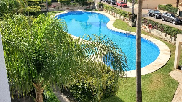 A swimming pool surrounded by palm trees and greenery, with a view of a residential area in the background. - Front line duplex penthouse with private pool! (Vera)