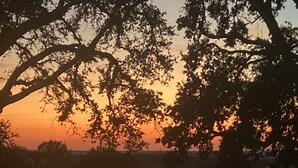 Een zwembad omringd door een hek, met bomen op de achtergrond en een zonsondergang.