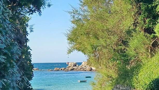 Un sendero adoquinado que lleva a una playa con agua azul cristalina y afloramientos rocosos.