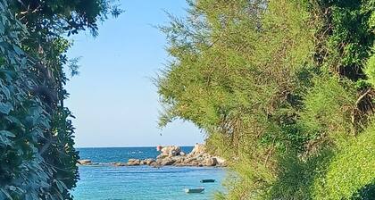 WATERFRONT HOUSE, 50 M FROM THE BEACH