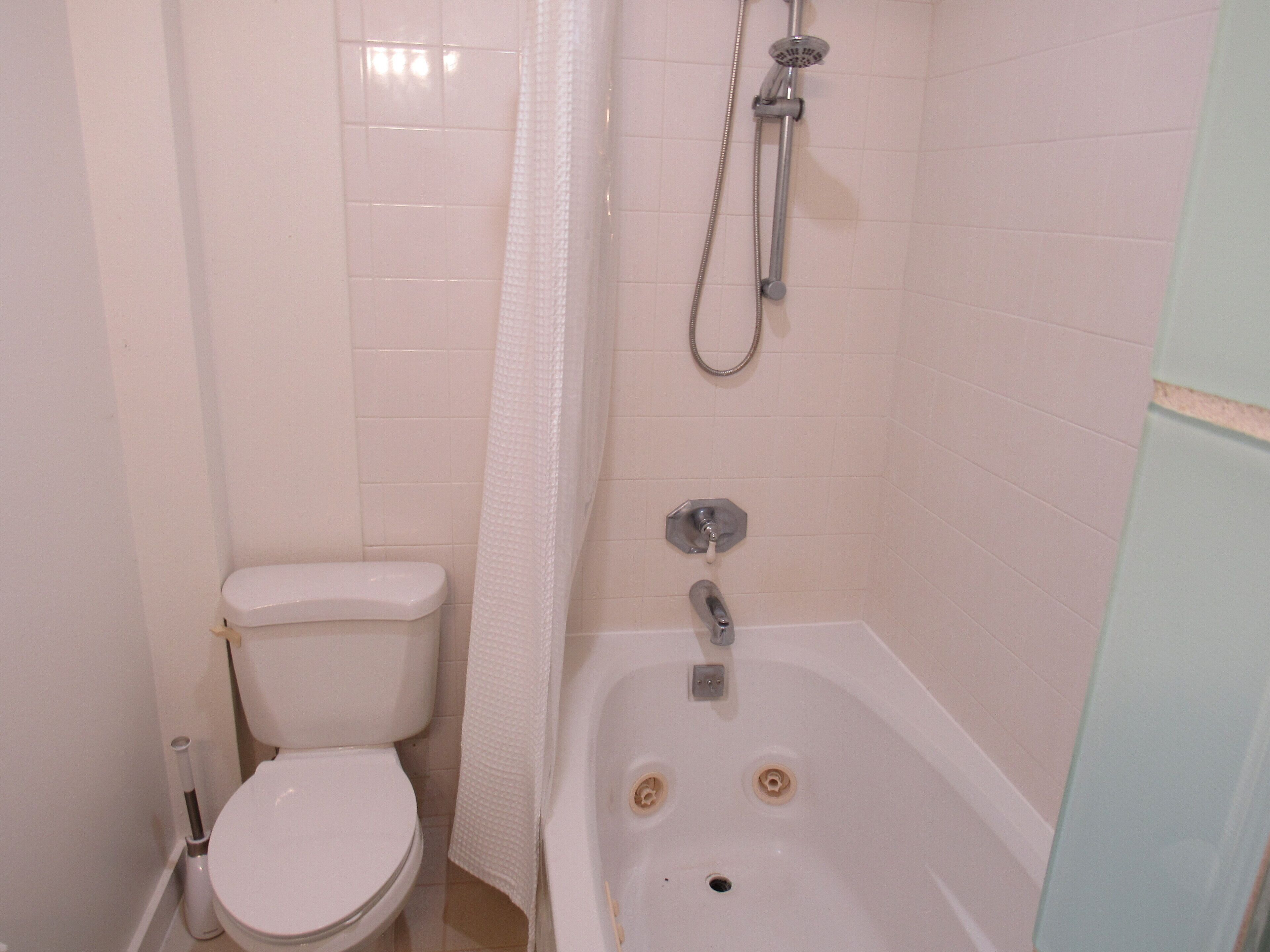 Un bagno con un water, una doccia con soffione manuale e una vasca da bagno.