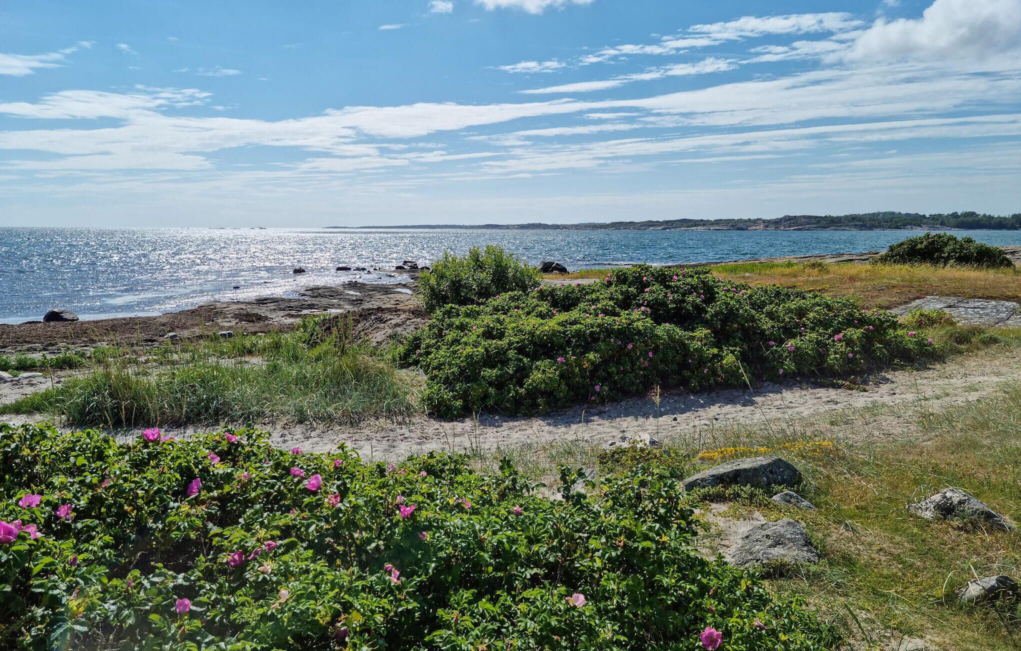 Nära stranden och fiske
