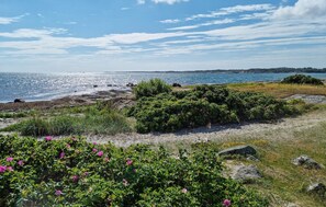 Nära stranden och fiske