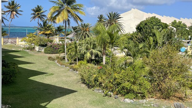 Un jardín bien cuidado con palmeras y vista al océano.