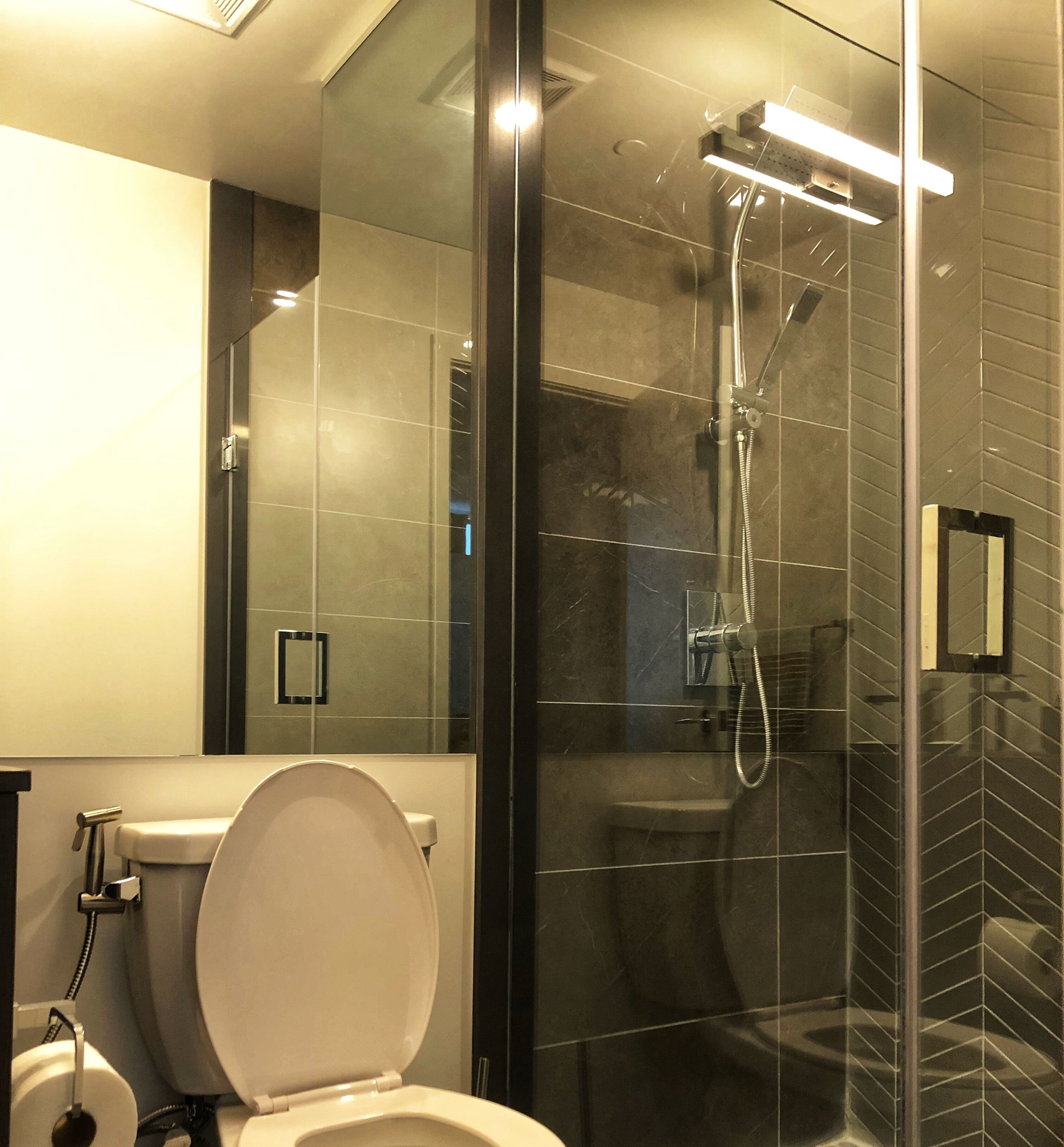 Combined shower/tub, bidet