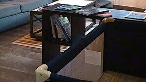 Un salon avec un escalier, un canapé, une table basse et une bibliothèque.