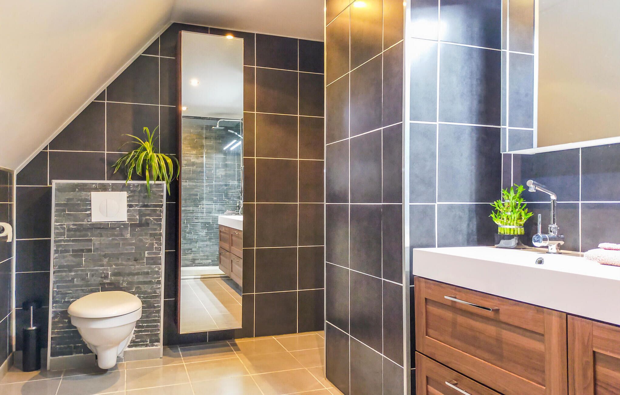 Shower, hair dryer