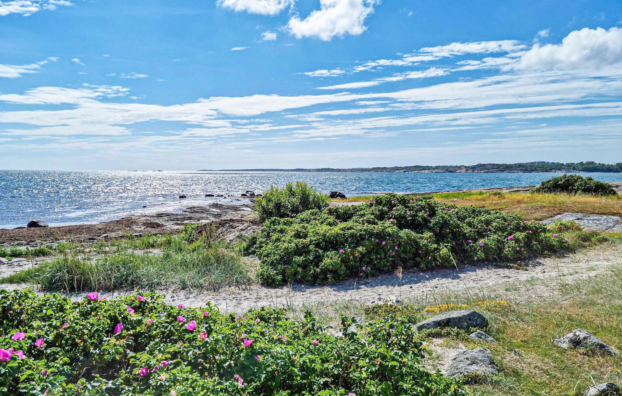 Nära stranden och fiske