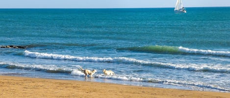 Plage Ă proximitĂ©, pĂȘche sur place