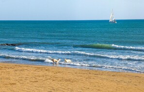 In Strandnähe, Angeln