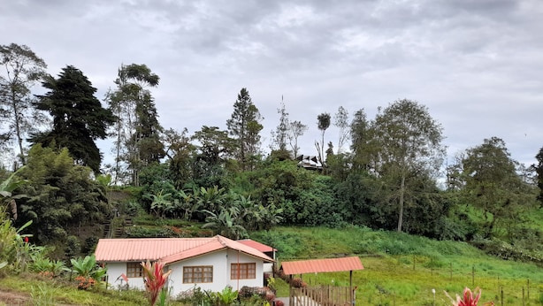 Una casa de techo rojo, rodeada de abundante vegetación y árboles.