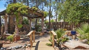 Un sendero de jardín que conduce a una pérgola de madera con plantas trepadoras, rodeada de rocas y plantas en macetas.