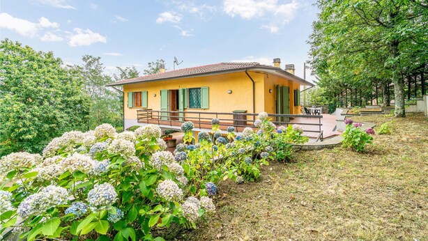 Ein gelbes Haus mit grünen Fensterläden, umgeben von einem Garten mit Hortensien.