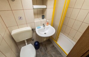 Une petite salle de bain avec des toilettes, un lavabo et une douche.