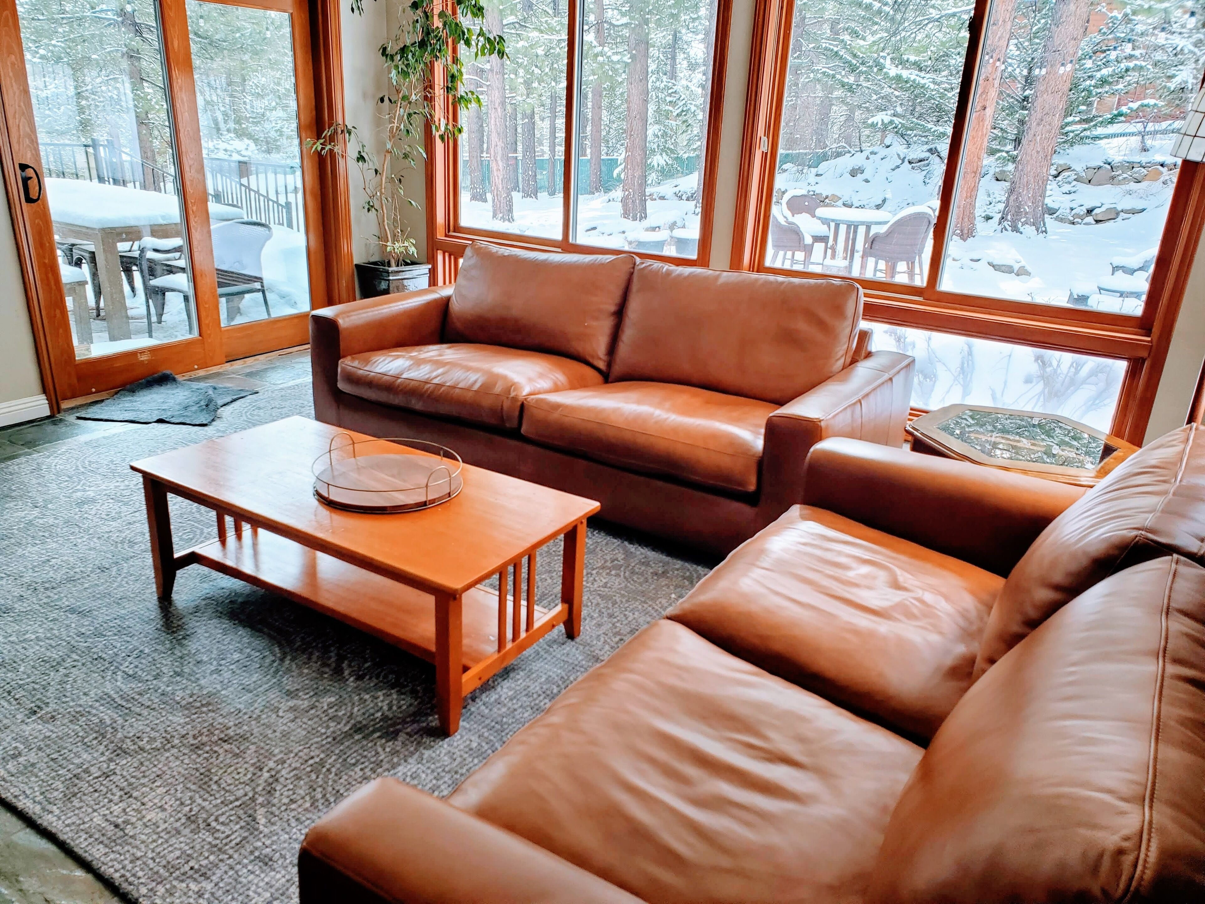 Smart TV, fireplace, video games, DVD player