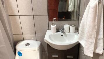 Combined shower/bathtub, hair dryer, towels, soap