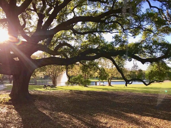 Enceinte de l’hébergement