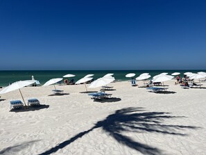A beach with white umbrellas and sun loungers, a clear sky, and a calm sea.