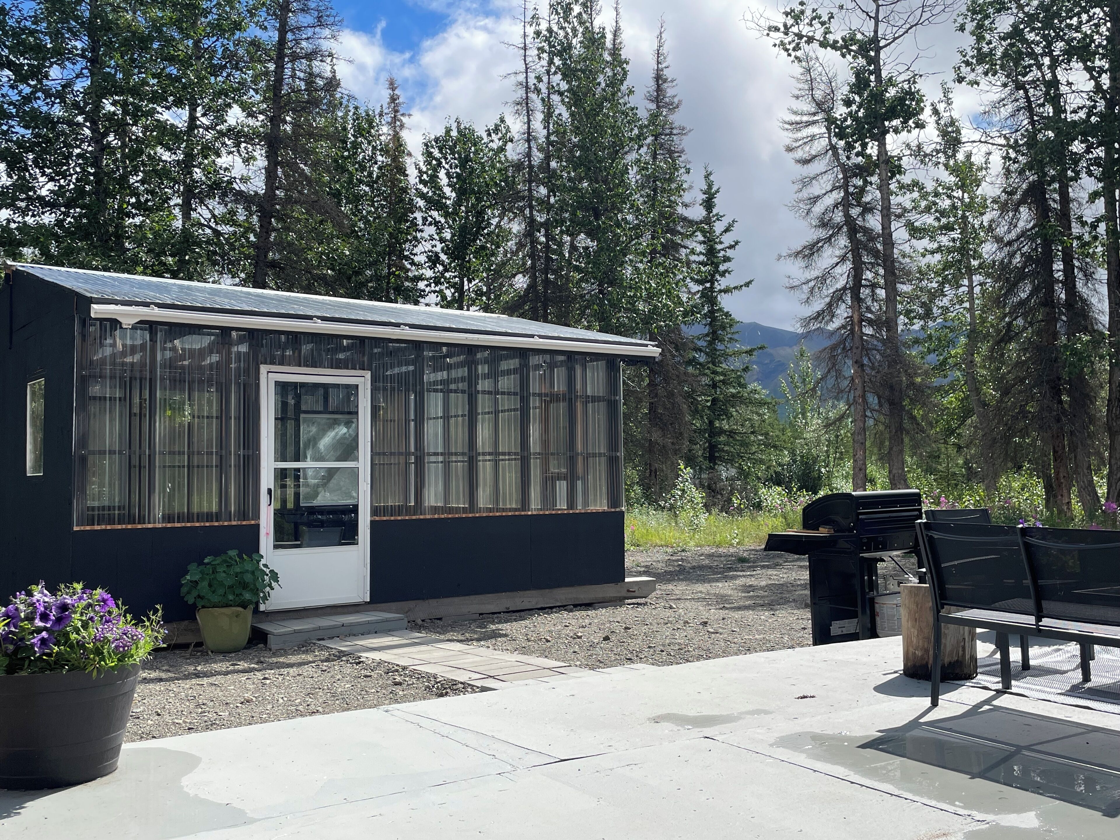 Greenhouse/ back deck space.
