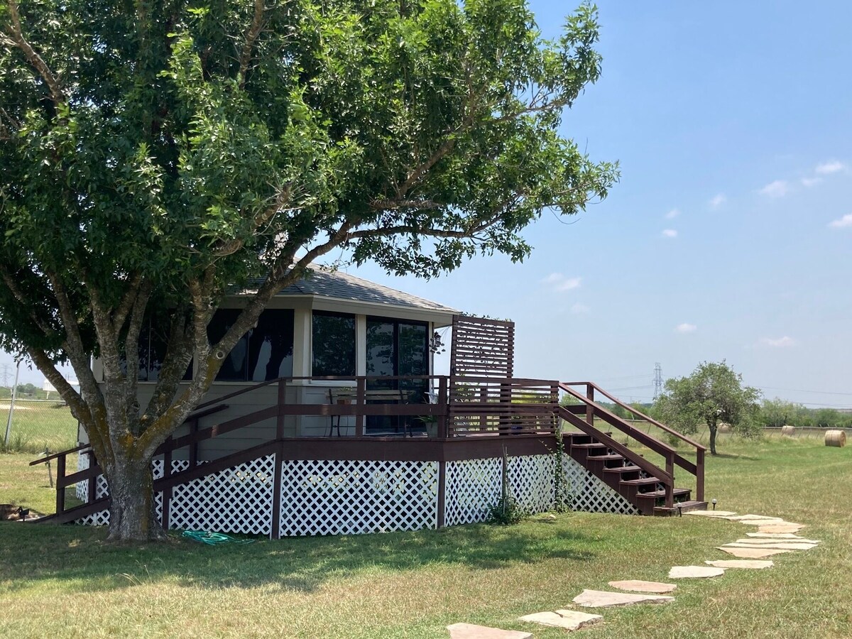 Imagen de perfil del propietario o de la propietaria