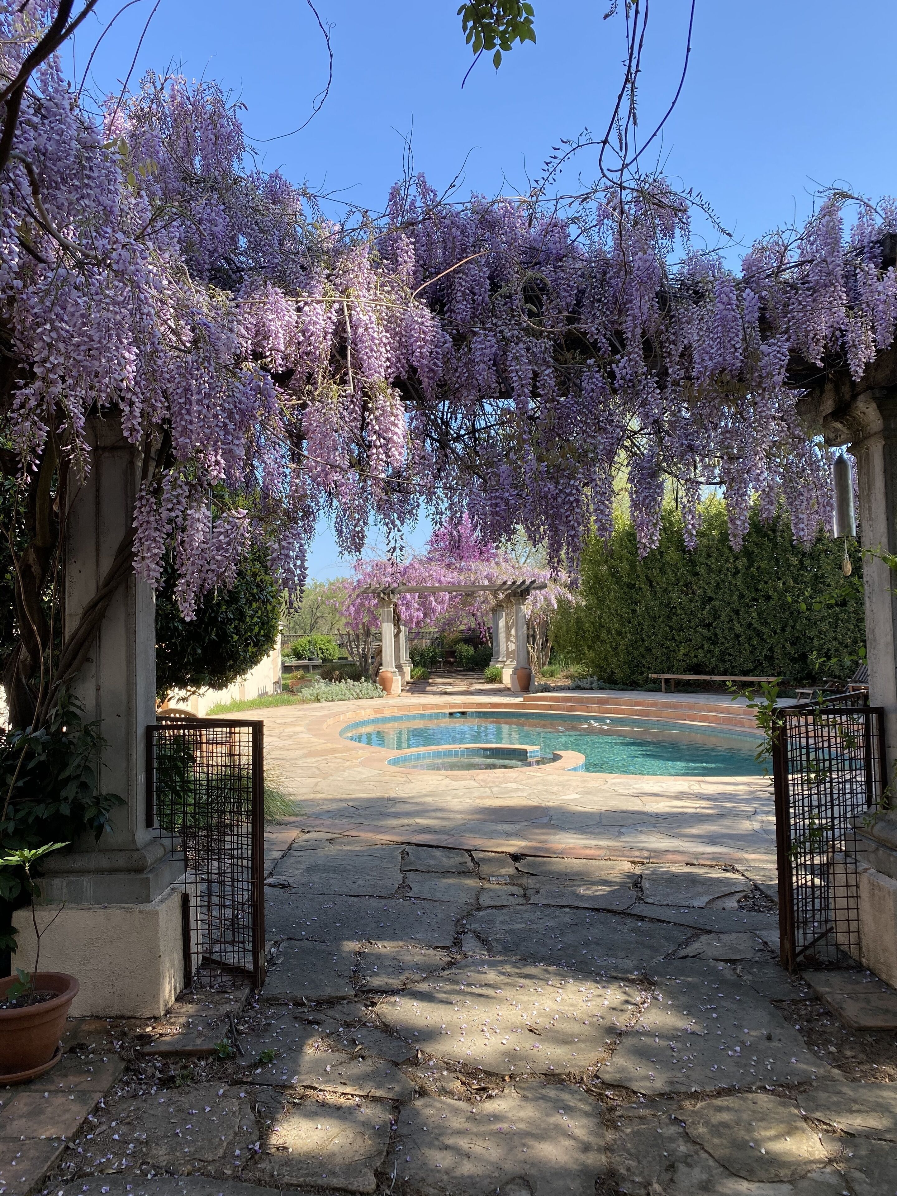 Alberca al aire libre 