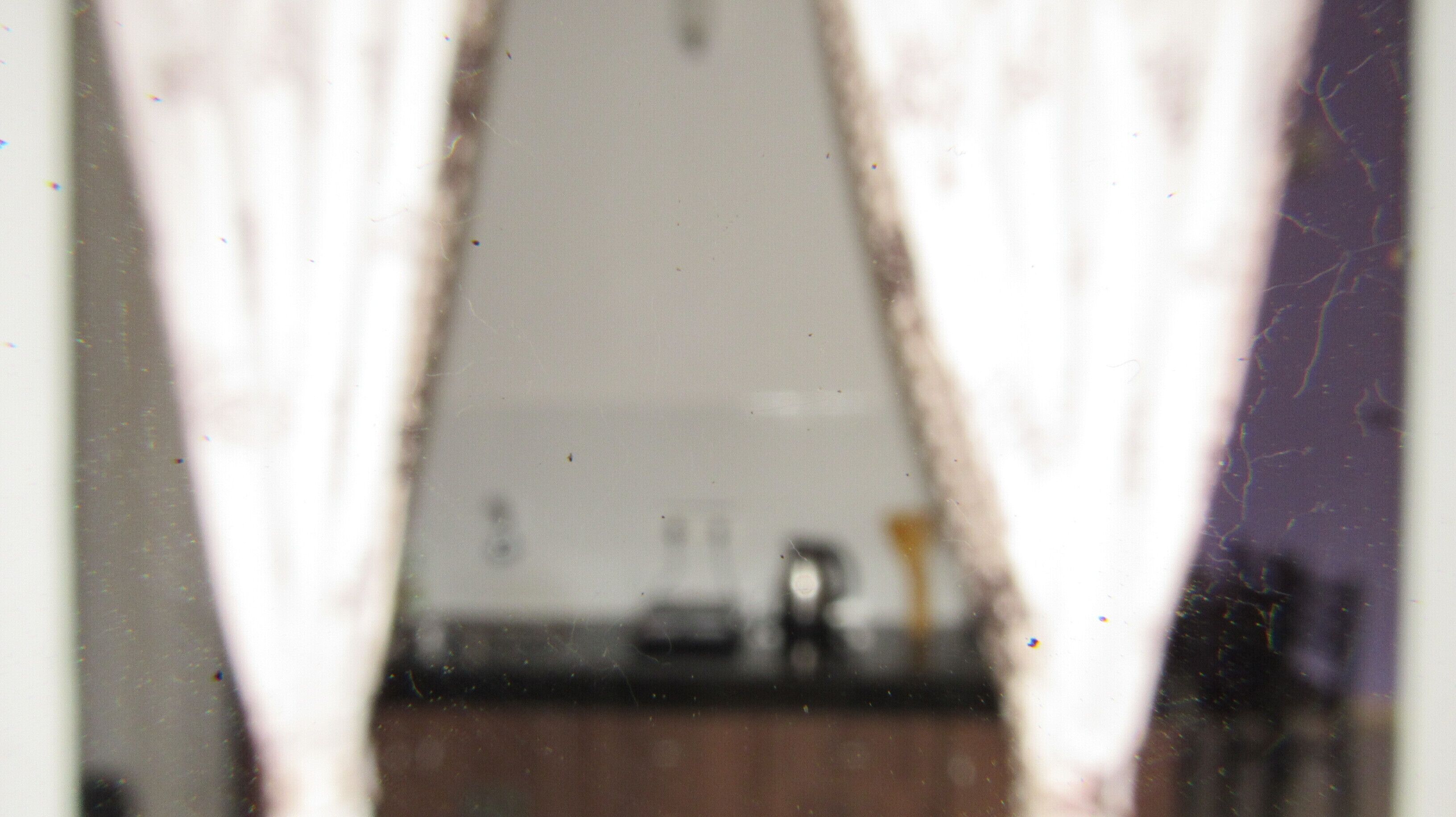 Your home away from home midst of peaceful nature for families, couples with pet